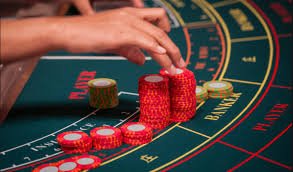 Account dashboard showing betting history and balance on tajambet togel